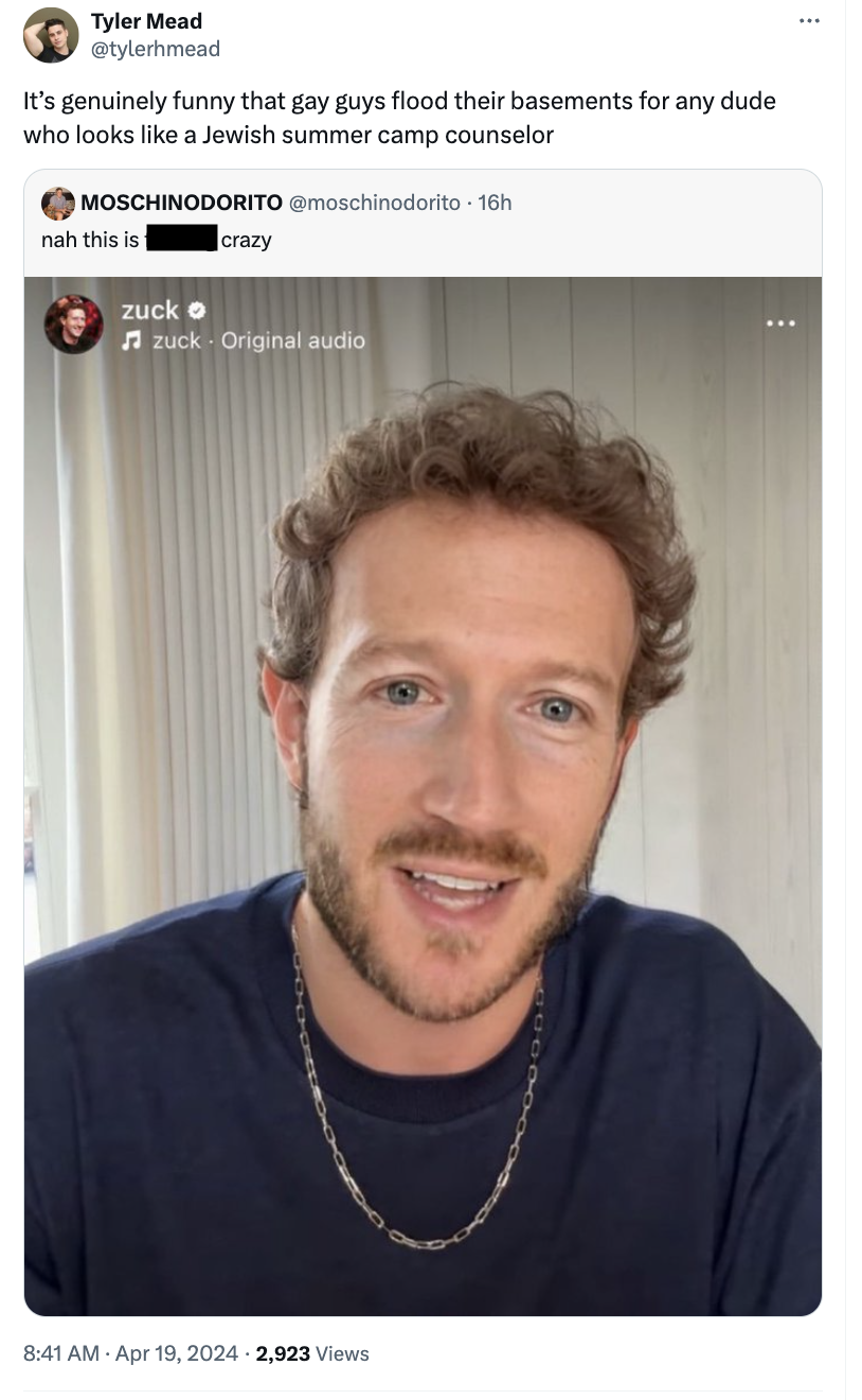 Mark Zuckerberg - Tyler Mead It's genuinely funny that gay guys flood their basements for any dude who looks a Jewish summer camp counselor Moschinodorito 16h nah this is f zuck crazy zuck Original audio 2,923 Views